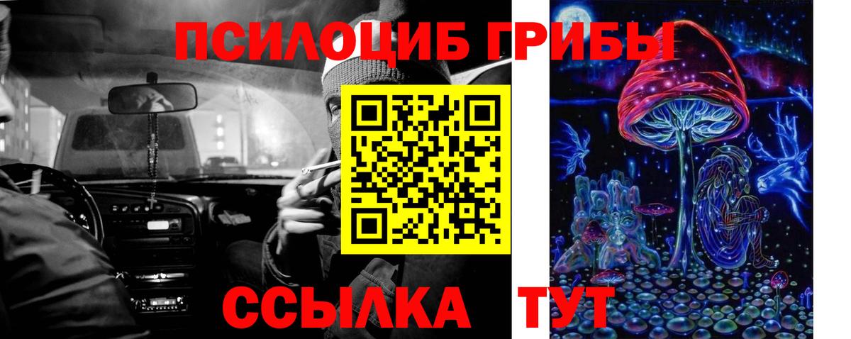 Мирный  Псилоцибиновые грибы прущие грибы  Вход с VPN 
